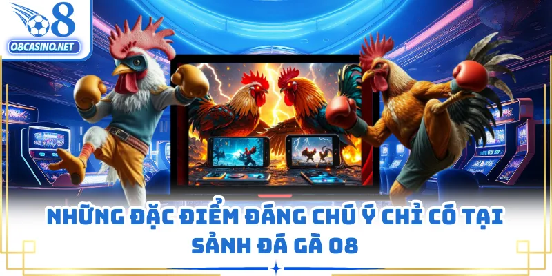 Những đặc điểm đáng chú ý chỉ có tại sảnh đá gà O8